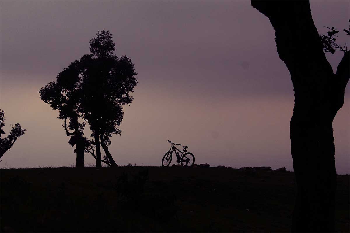 Mountain Biking